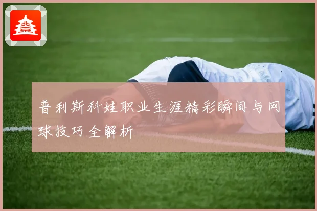 普利斯科娃职业生涯精彩瞬间与网球技巧全解析