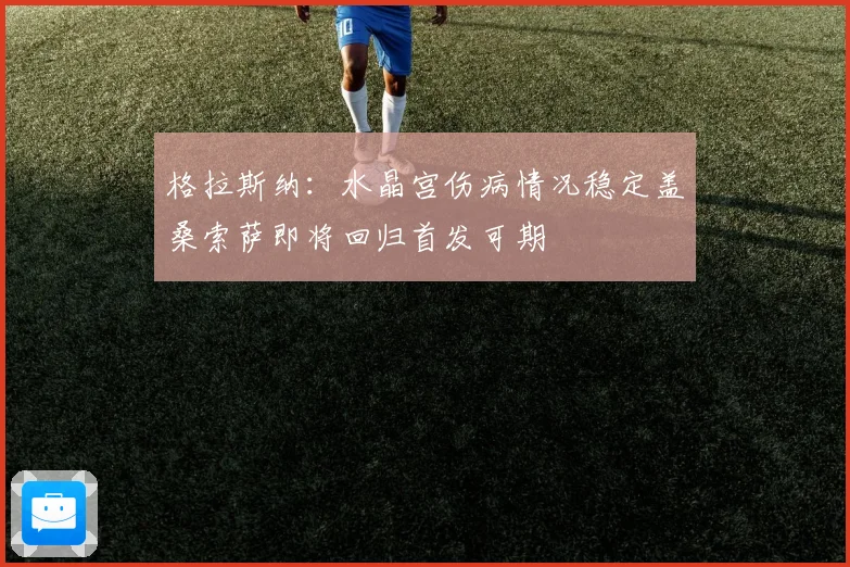 格拉斯纳：水晶宫伤病情况稳定盖桑索萨即将回归首发可期